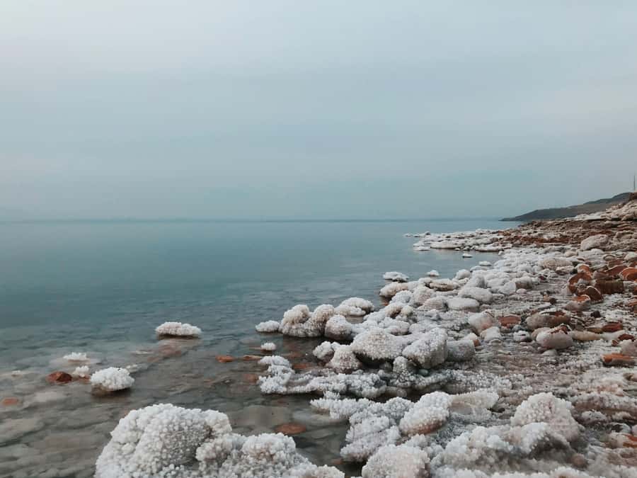 Amman: Ma'in Hot Springs and Dead Sea Day Trip - Included vs. not included: where the real value comes from at $117