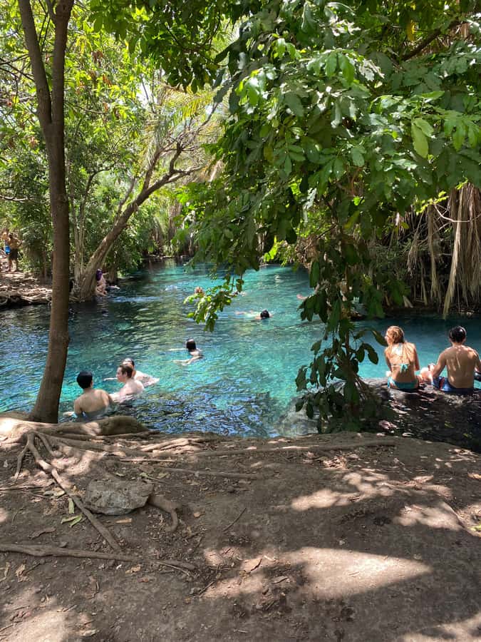 Arusha: Kikuletwa Hot Springs Day Trip with Transport - Kikuletwa Hot Springs: what makes the water time special