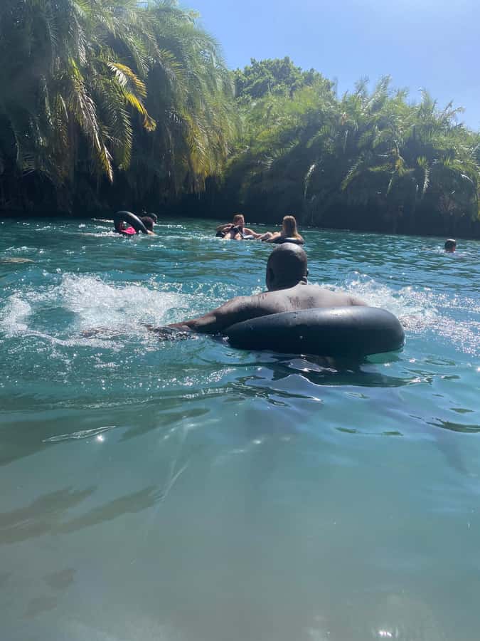 Arusha: Kikuletwa Hot Springs Day Trip with Transport - The guided tour on the route: Chagga and Maasai stories on the way