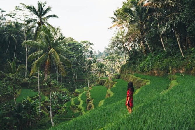 Bali day trip : Batur Sunrise Hike and Hot Spring All inclusive - What to pack and how to pace your body