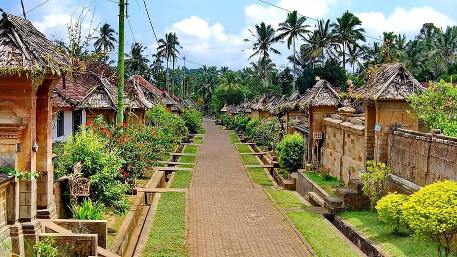 Bali: Trunyan Cemetery, Hot Springs, and Penglipuran Village - Who This Tour Suits Best (and Who Should Skip It)