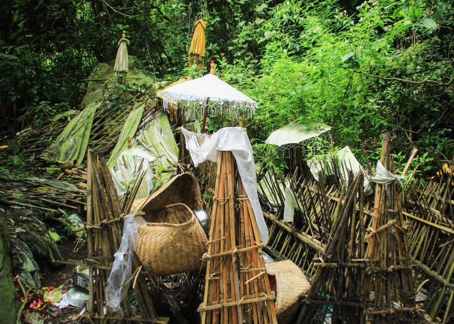 Bali: Trunyan Cemetery, Hot Springs, and Penglipuran Village - A One-Day Route That Feels Like North-East Bali in Real Time