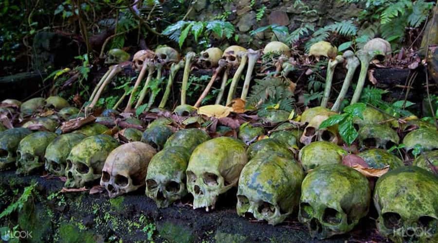 Bali: Trunyan Cemetery, Hot Springs, and Penglipuran Village - Trunyan Cemetery: The Bali Aga Funeral Tradition
