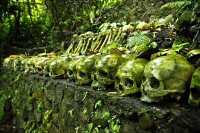 Bali: Trunyan Cemetery, Hot Springs, and Penglipuran Village - The Lake Batur Crossing and Why Songan Matters