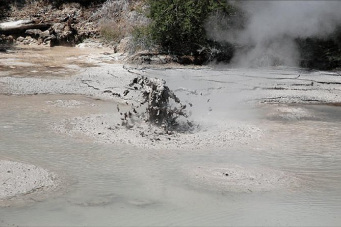 Boutique tour , Mt Maunganui, NZ farm, Rotorua lakes/geothermal - Why this Mt Maunganui to Rotorua route works so well