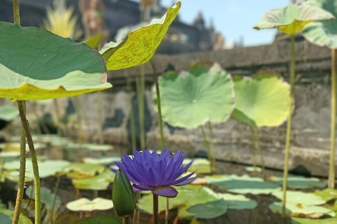 Brahmavihara Arama Banjar Hot Spring Ulundanu Bratan Private Tour - Taman Ayun Temple in Mengwi: The Royal Stop You’ll Likely Appreciate