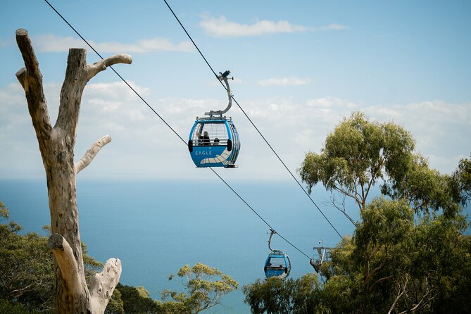Depart Peninsula: Mornington Wine & Hot Springs Tour with Lunch - Key things I’d look forward to