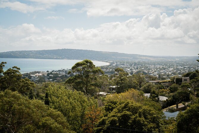 Depart Peninsula: Mornington Wine & Hot Springs Tour with Lunch - Arthur’s Seat: a 100-meter walk to skyline-and-bay views