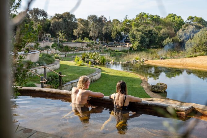 Depart Peninsula: Mornington Wine & Hot Springs Tour with Lunch - Price and value: what $175.72 includes (and why it adds up)