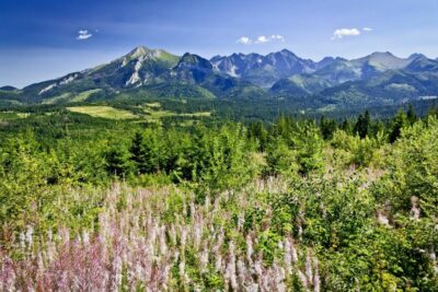 From Krakow: Zakopane Tatra Mountains & Hot Springs Tour - Price and what you really get for $97