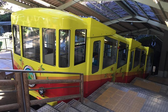 Full Day Hiking Tour at Mt.Takao including Hot Spring - Keio Takaosan Onsen Gokurakuyu: The Best Payoff After Walking