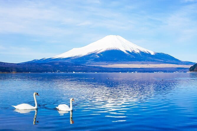 Full Day Tour at Mt. Fuji, Onsen, Lake Kawaguchi and Yamanaka - Quick hits before you go