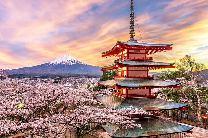 Full Day Tour at Mt. Fuji, Onsen, Lake Kawaguchi and Yamanaka - Mt. Fuji 5th Station or Arakurayama Sengen Park: plan for the seasonal swap