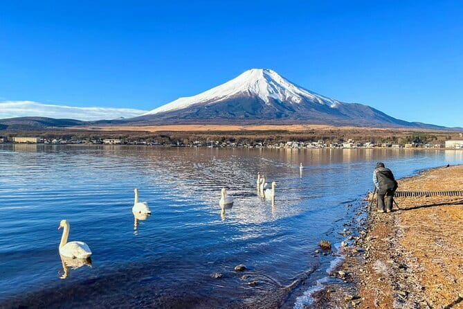 Full Day Tour at Mt. Fuji, Onsen, Lake Kawaguchi and Yamanaka - Lake Yamanaka: Swan Lake energy plus the one hard choice