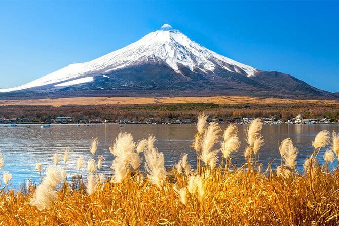 Full Day Tour at Mt. Fuji, Onsen, Lake Kawaguchi and Yamanaka - Price and what you truly get for about $50