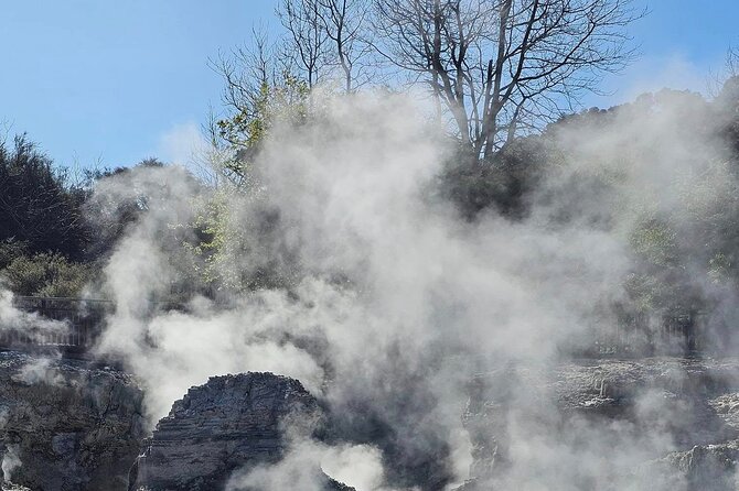 Hells Gate Geothermal, Mud & Sulphur Spa - Inside Hells Gate: your interactive geothermal walk