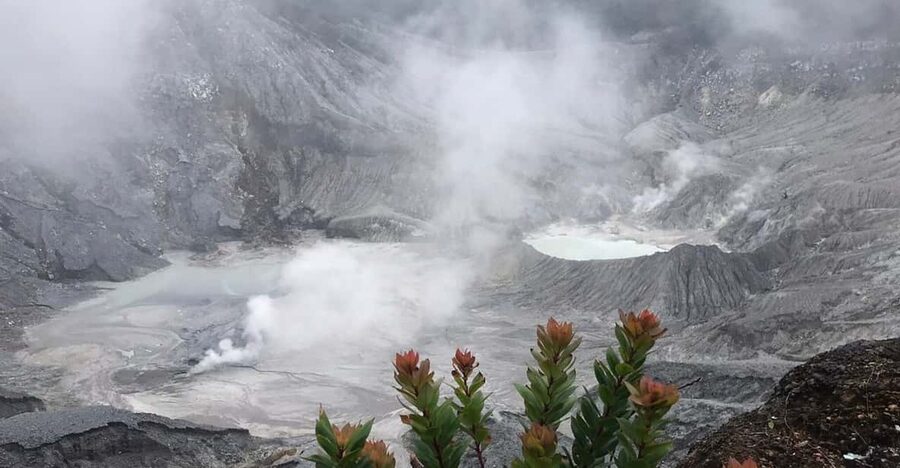 Jakarta: Volcano, Tea/Rice Fields, Hot Spring, Local Food - Who this tour fits best (and who might want to skip it)