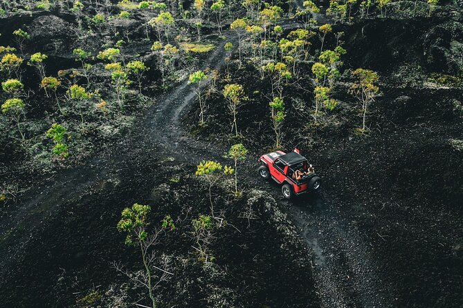 Mount Batur 4WD Jeep, Breakfast and Hot Spring All Inclusive - Getting picked up: early start, real convenience
