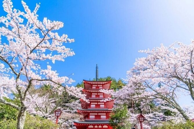 Mount Fuji 5th Station, Arakurayama, Oshino Hakkai and Hot Spring - A Fuji Day Trip From Tokyo: What This Route Really Gives You