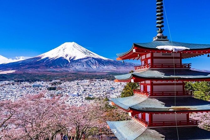 Mount Fuji 5th Station, Arakurayama, Oshino Hakkai and Hot Spring - Oshino Hakkai Springs: Why These Ponds Matter