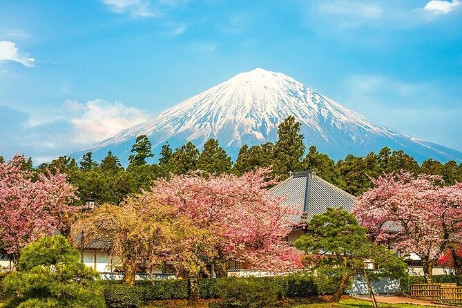 Mount Fuji 5th Station, Arakurayama, Oshino Hakkai and Hot Spring - Mount Fuji 5th Station vs Arakurayama Sengen Park: The Seasonal Switch