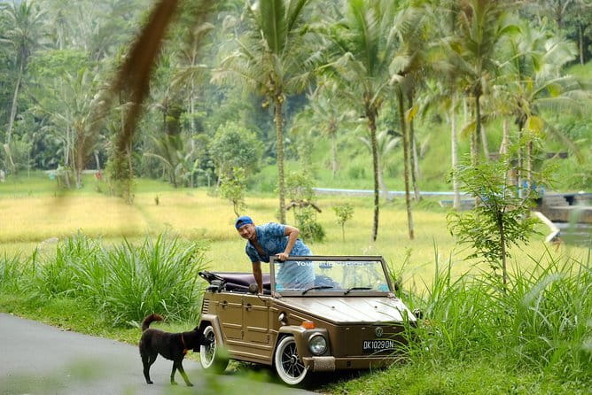 Mt Batur Sunrise Jeep & Natural Hot Spring Tour - What to expect on the ground (and what to bring)