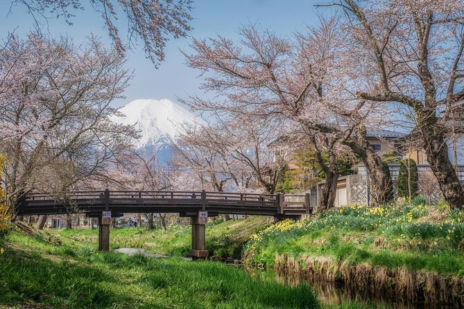 Mt. Fuji 5th Station, Oshino Hakkai and Hot Spring Day Trip - Weather really decides the Mt. Fuji part