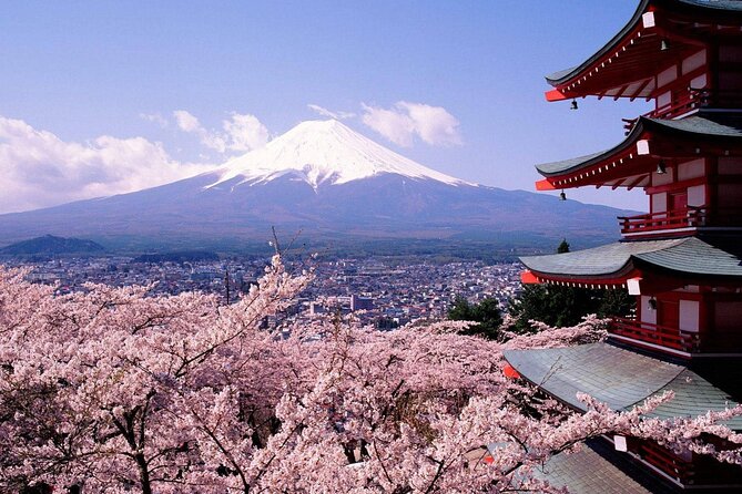 Mt. Fuji 5th Station, Oshino Hakkai and Hot Spring Day Trip - Gotemba Premium Outlets or Konohananoyu: Choose your kind of afternoon