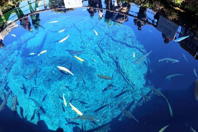 Mt. Fuji 5th Station Oshino Hakkai & Gotemba, Hot Spring Day Tour - Key Things to Know Before You Go