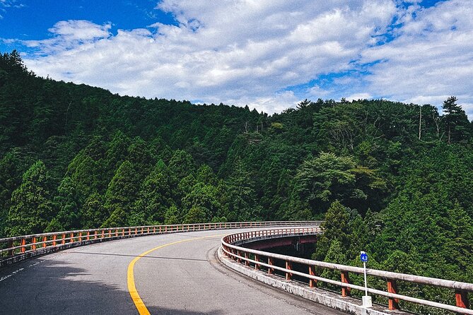 Mt. Fuji, Hakone Private Tour from Tokyo - Onsen, Arts and Nature - Onsen Time in Hakone: Relaxation First, Tickets Extra