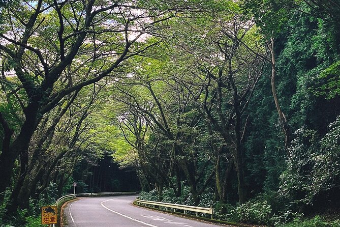 Mt. Fuji, Hakone Private Tour from Tokyo - Onsen, Arts and Nature - Hakone Open-Air Museum vs Pola Museum: Picking Art Based on Weather