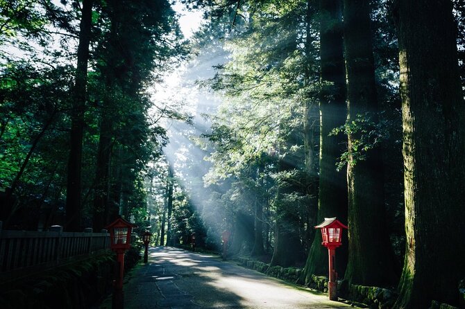 Mt. Fuji, Hakone Private Tour from Tokyo - Onsen, Arts and Nature - Price and Logistics: Is $852 Worth It for a Private Day?