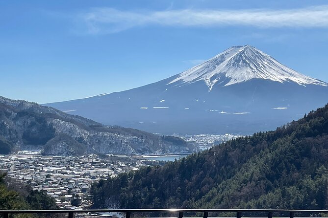 Mt FUJI - Panoramic Tour w/ Hoto Lunch, JP Sake & Onsen tatto OK! - Small-Group Fuji Views With Real Q&A, Not Just a Photo Run