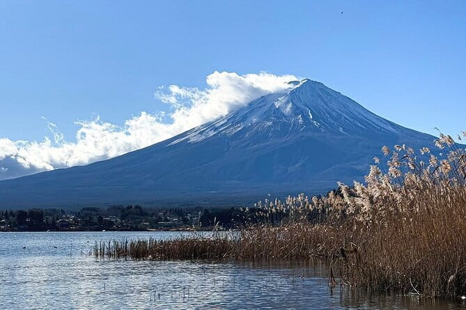 Mt Fuji Small Group 1 Day Tour Kawaguchi and Yamanaka with Pickup - Oshino Hakkai: UNESCO Ponds and Fuji’s Underground Water