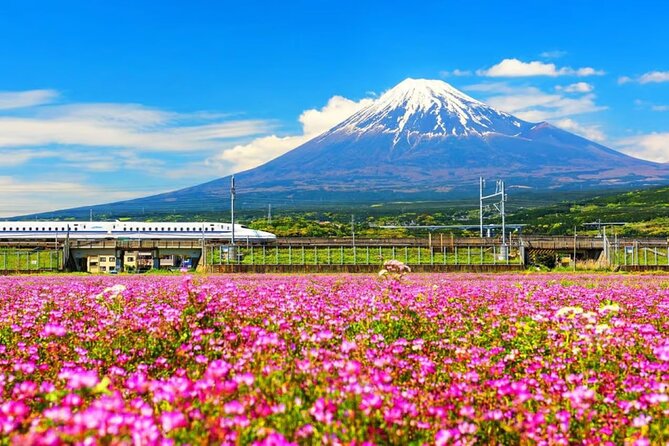 Mt. Fuji to Lake Kawaguchi, Lake Yamanaka and Onsen Day Tour - Key things to know before you go