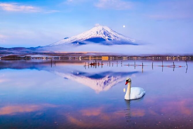 Mt. Fuji to Lake Kawaguchi, Lake Yamanaka and Onsen Day Tour - Fuji for beginners: 5th Station to postcard viewpoints in one day