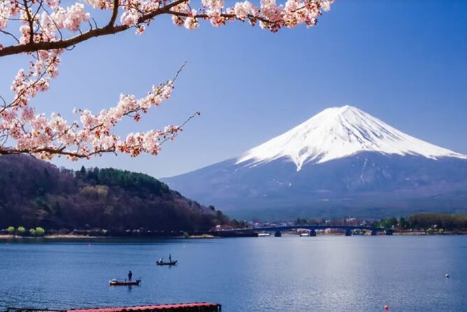 Mt. Fuji to Lake Kawaguchi, Lake Yamanaka and Onsen Day Tour - Seasonal color at Shibazakura Festival and the Lake Kawaguchi maple corridor