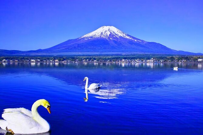 Mt. Fuji to Lake Kawaguchi, Lake Yamanaka and Onsen Day Tour - The hot spring stop: what to expect and tattoo rules