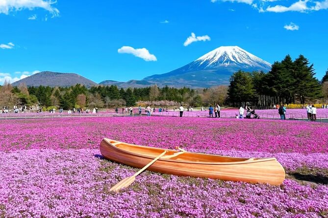 Mt. Fuji to Lake Kawaguchi, Lake Yamanaka and Onsen Day Tour - How the guide keeps the day on track (and why it matters)