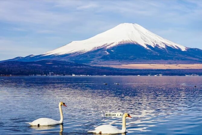 Mt. Fuji to Lake Kawaguchi, Lake Yamanaka and Onsen Day Tour - Price and value: $115 for transport, tickets, and time you do not waste