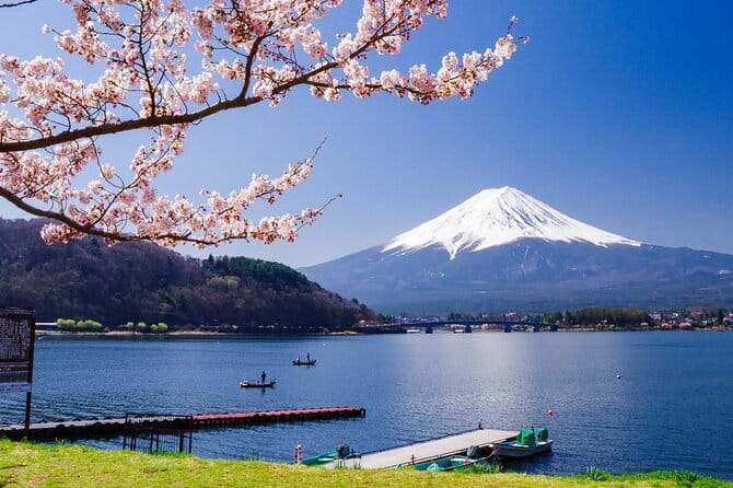 Mt. Fuji Tours to Lake Kawaguchi and Yamanaka Onsen English Guide - Lake Kawaguchiko: 30 minutes of Fuji calm, then a seasonal “main scene”