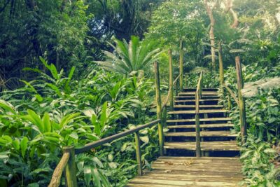 Nadi: Garden Village Hot Spring & Temple Highlights Tour - Sri Siva Subramaniya Swami Temple: the one stop you’ll remember