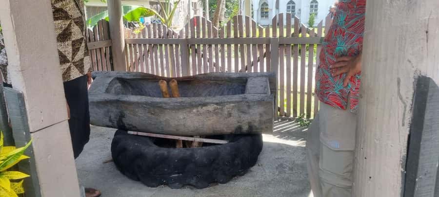 Nadi: Garden Village Hot Spring & Temple Highlights Tour - Viseisei Village and the school visit: culture you can ask questions about