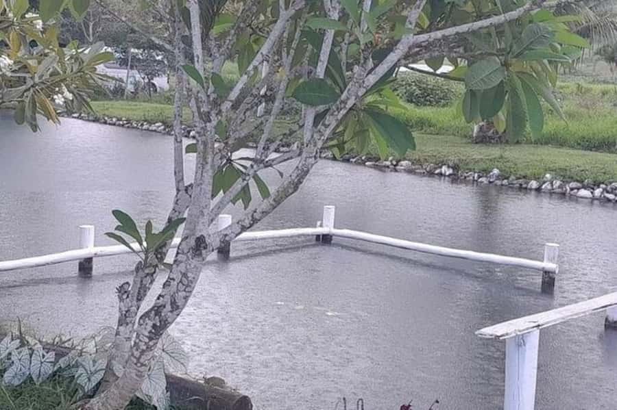 Nadi: Garden Village Hot Spring & Temple Highlights Tour - Who should book this tour (and who should skip it)