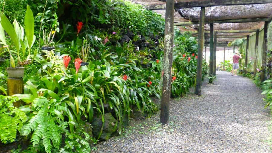 Nadi: Garden Village Hot Spring & Temple Highlights Tour - Should you book the Nadi Garden Village Hot Spring and Temple Highlights Tour?