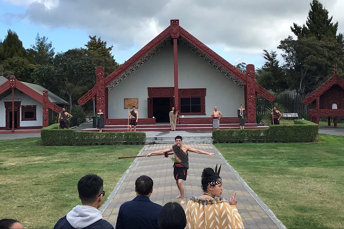 Rotorua Geothermal Wonderland Tour – Departs Tauranga - Getting There and Back: Pickup, the 12-Seater Van, and Real-World Comfort