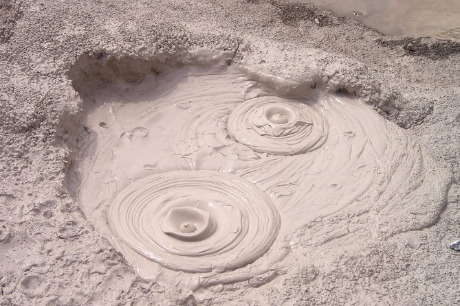Rotorua Geothermal Wonderland Tour – Departs Tauranga - Te Puia Geothermal Park: Pohutu Geyser, Mud Pools, and Native Bush