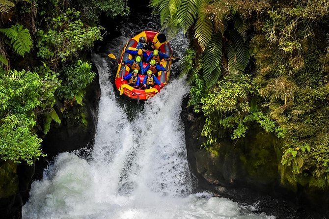 Rotorua Geothermal Wonderland Tour – Departs Tauranga - The “Walk and Watch” Part: How the Short Stops Keep the Day Balanced