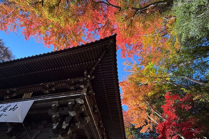Samurai Guide Sho’s Mt. Takao Hike, Temple & Onsen from Shinjuku - Shinjuku station help you can feel: Suica, transfers, and rerouting