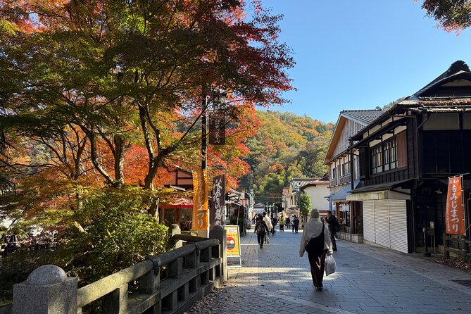 Samurai Guide Sho’s Mt. Takao Hike, Temple & Onsen from Shinjuku - If weather is kind: the Ōmiharashidai viewpoint (and the Fuji bonus)